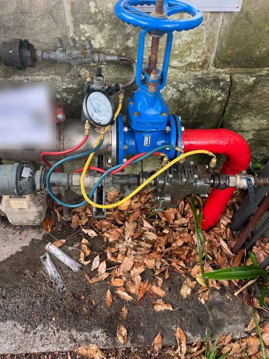 Backflow prevention device with a test gauge connected by coloured hoses