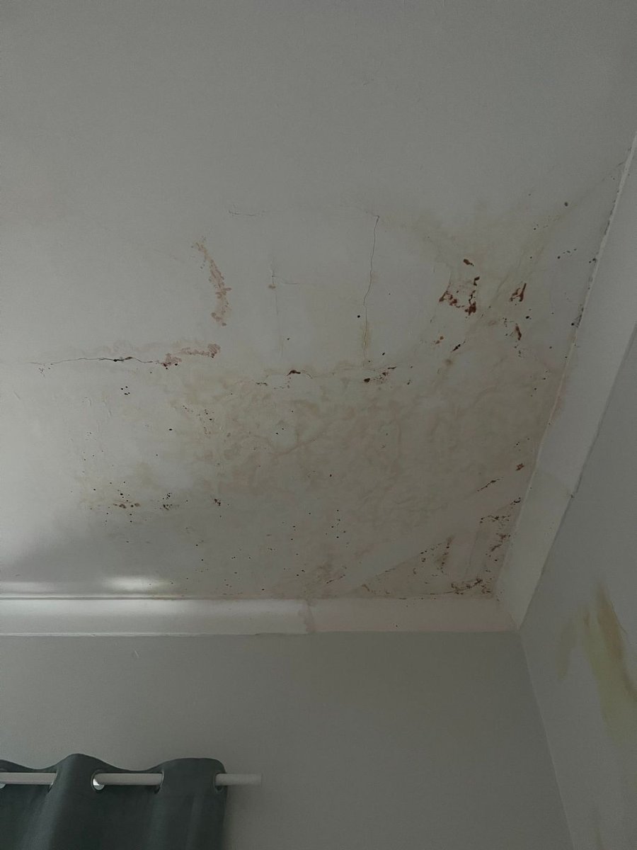 Water stains spreading across a ceiling beside a skylight shaft