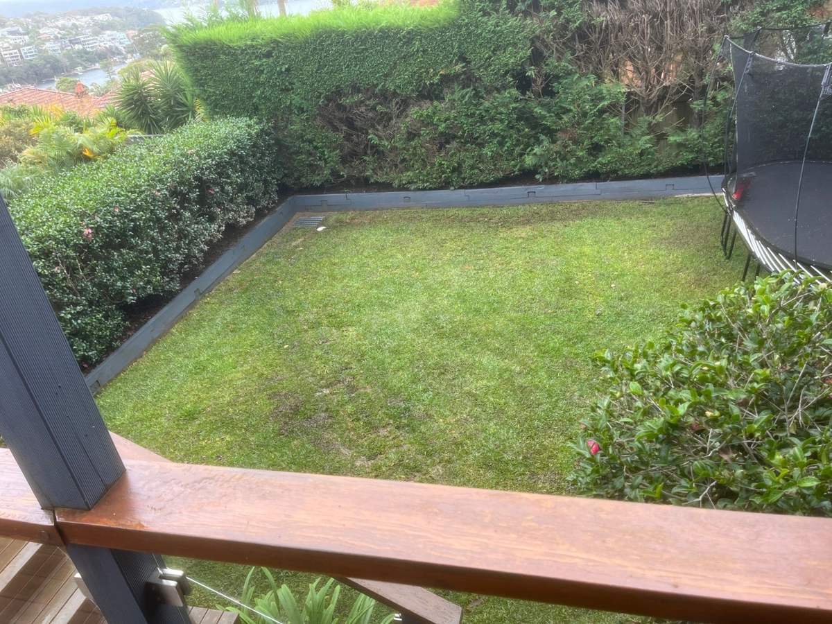 A lawn and hedges with a glimpse of the harbour